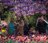 «Голландия» ошеломляет посетителей на выставке цветов