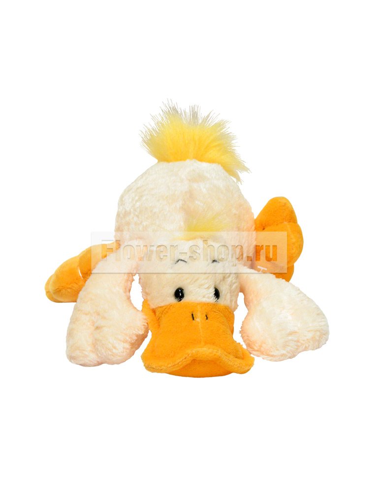 anna club plush duck