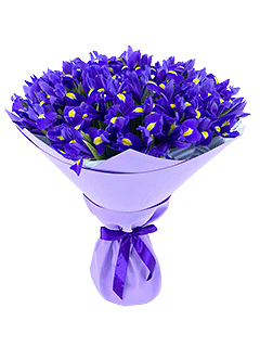 Цветок с фиолетовыми цветами