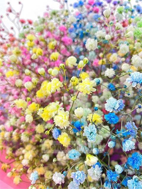 Статьи о цветах и букетах, советы флористов